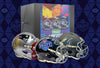 2024 Fanatics Under Wraps NFL Draft Signed Mini Helmets